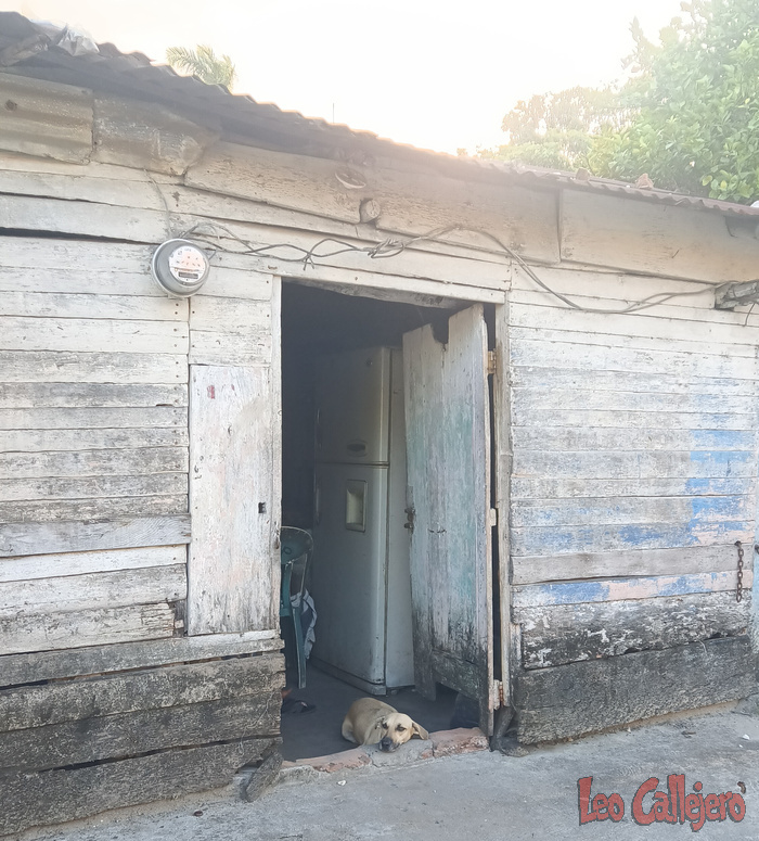 2023-08-09_17-51-09_IMG_20230809_175109_016