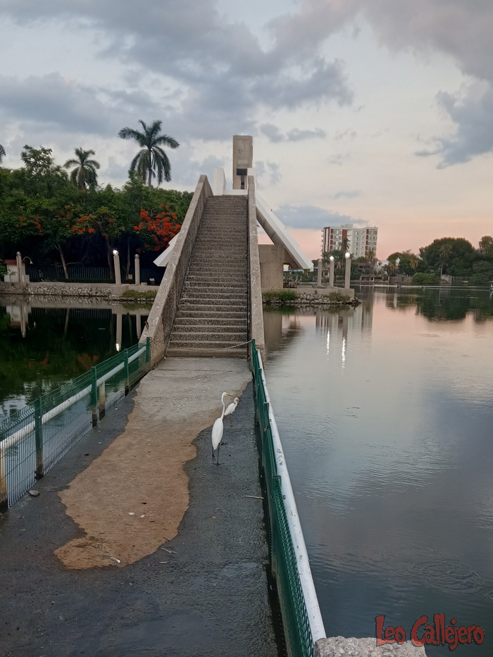 2023-08-10_18-36-20_IMG_20230810_183620_925