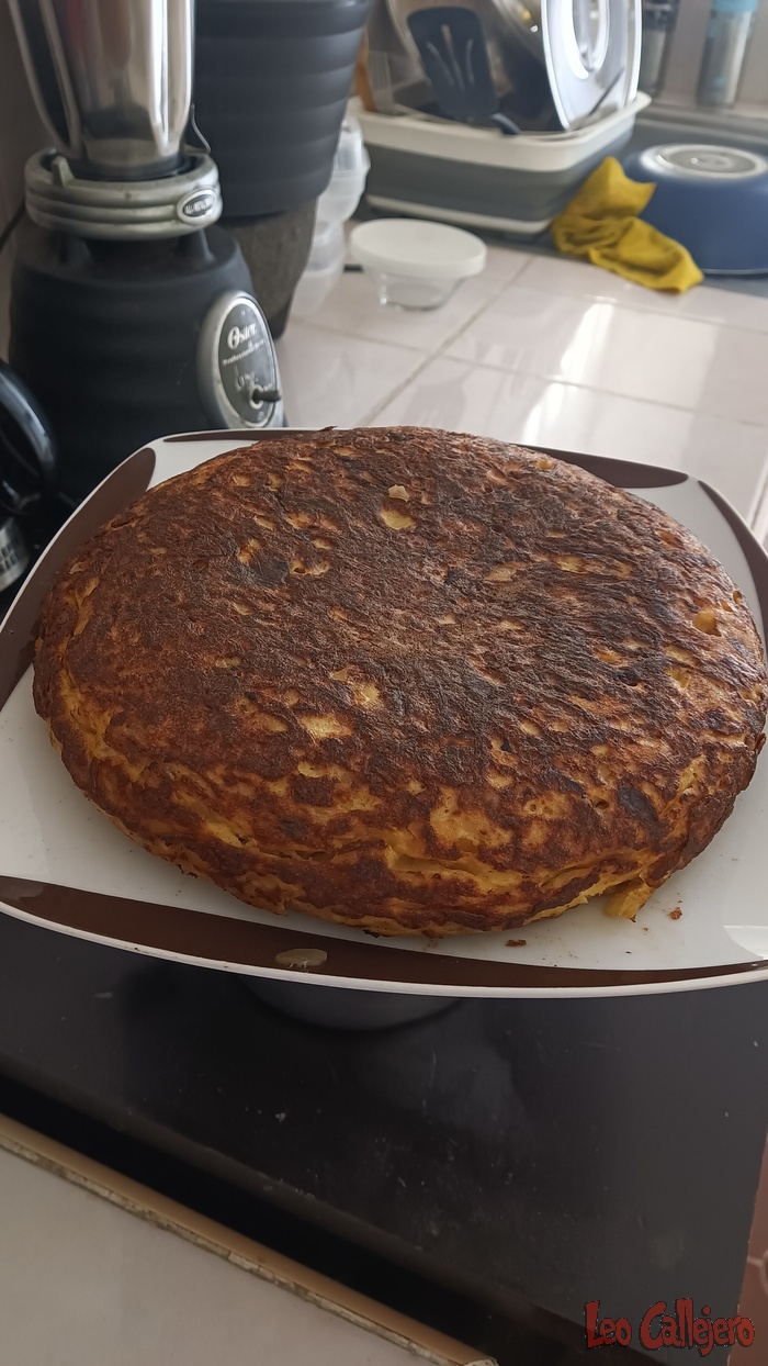 2023-08-11_15-03-10_IMG_20230811_150310_565