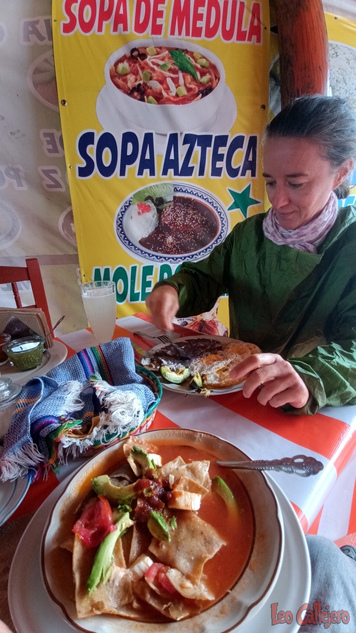 2023-08-24_12-19-24_IMG_20230824_121924_649