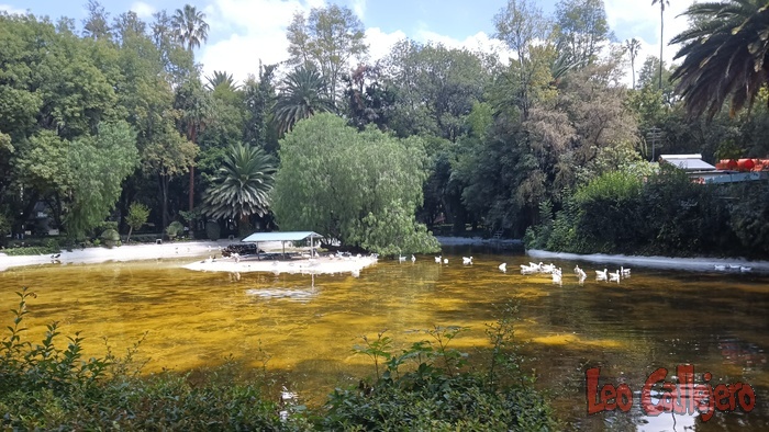 2023-08-25_10-53-25_IMG_20230825_105325_902