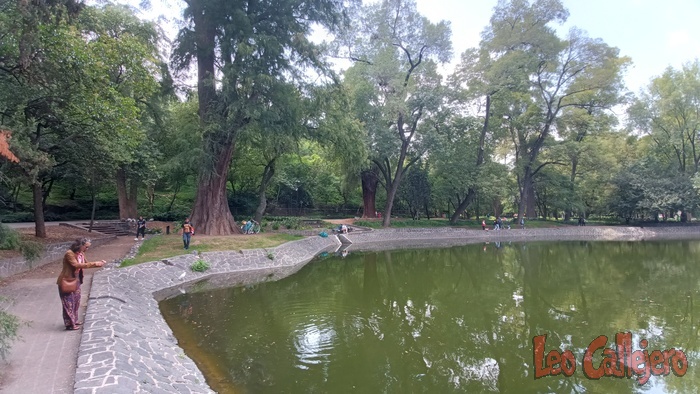 2023-08-26_11-46-27_IMG_20230826_114627_045