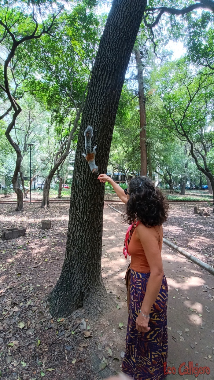 2023-08-26_12-15-33_IMG_20230826_121533_843