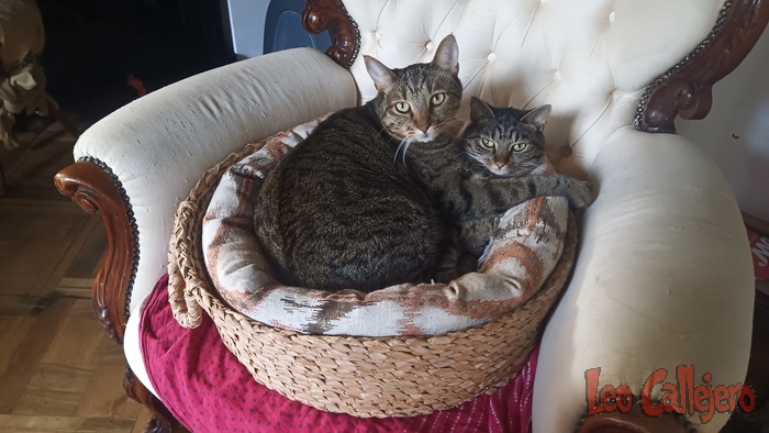 2023-08-31_08-00-09_IMG_20230831_080009_247