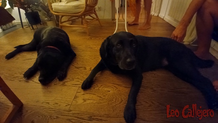 2023-09-08_20-53-55_IMG_20230908_205355_480