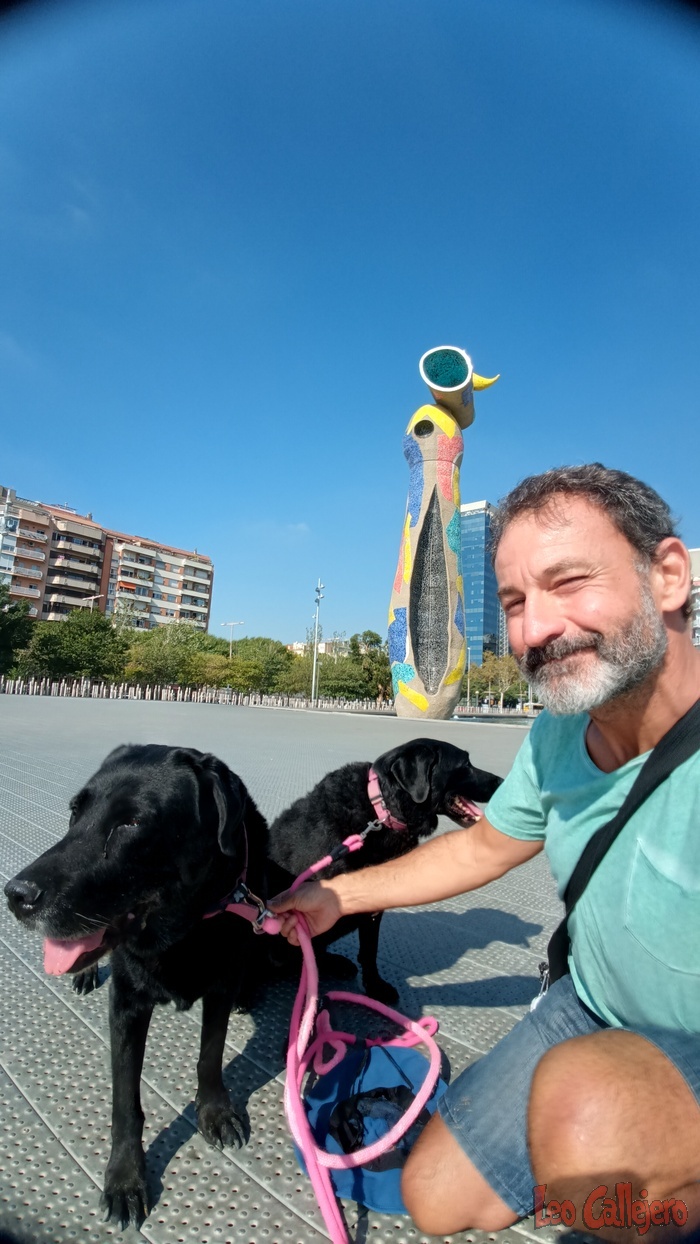 2023-09-09_10-58-51_IMG_20230909_105851_072