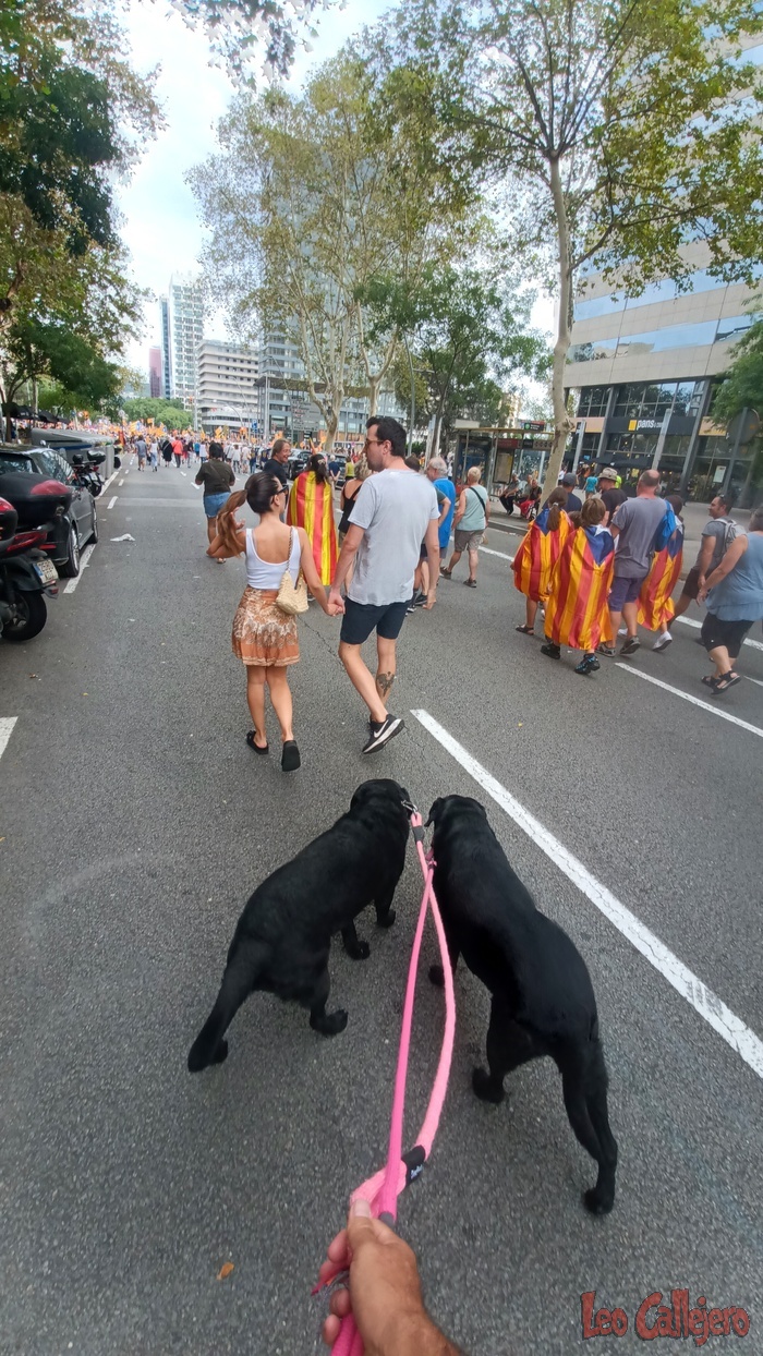 2023-09-11_16-57-46_IMG_20230911_165746_435