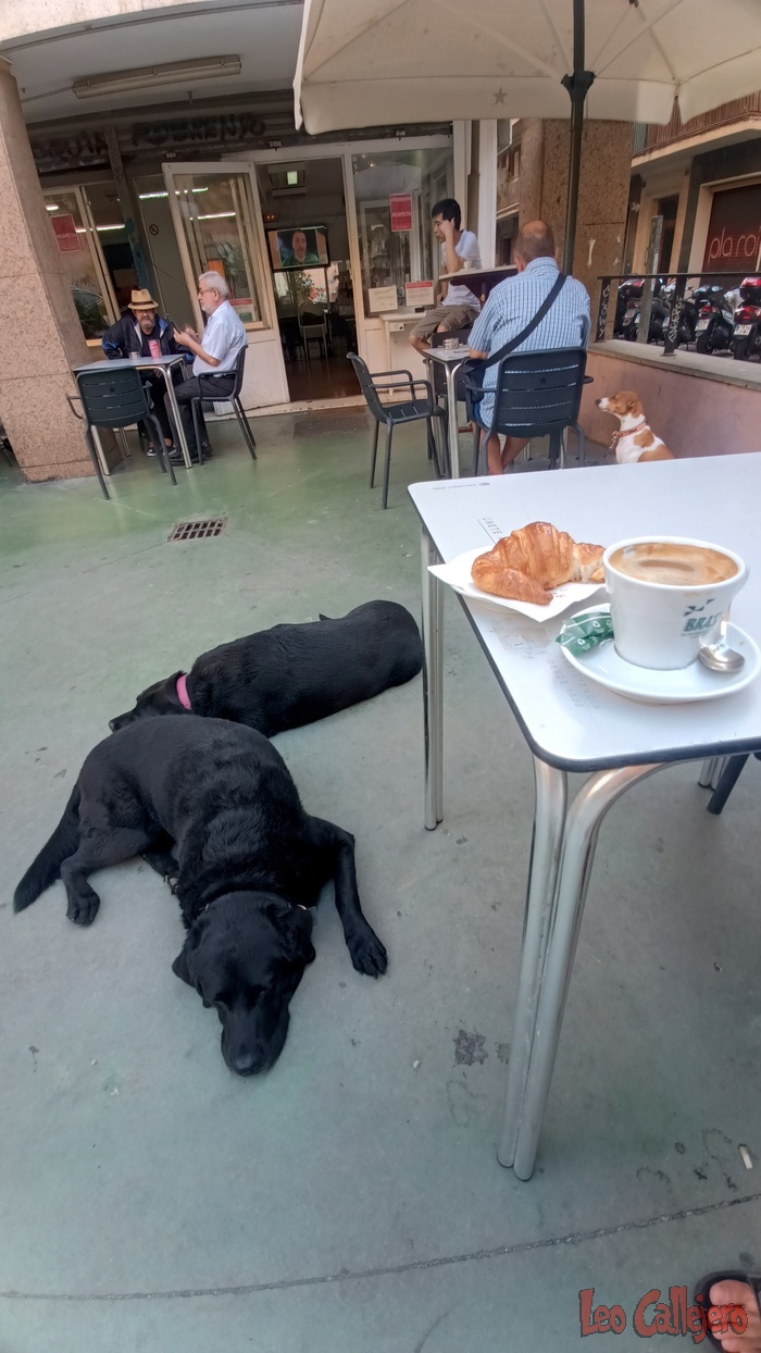 2023-09-15_09-25-36_IMG_20230915_092536_417