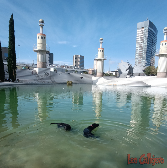 2023-09-16_16-56-16_IMG_20230916_165616_242