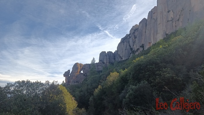 2023-09-21_12-17-38_IMG_20230921_121738_717