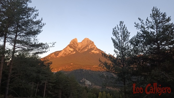 2023-09-23_07-52-37_IMG_20230923_075237_690