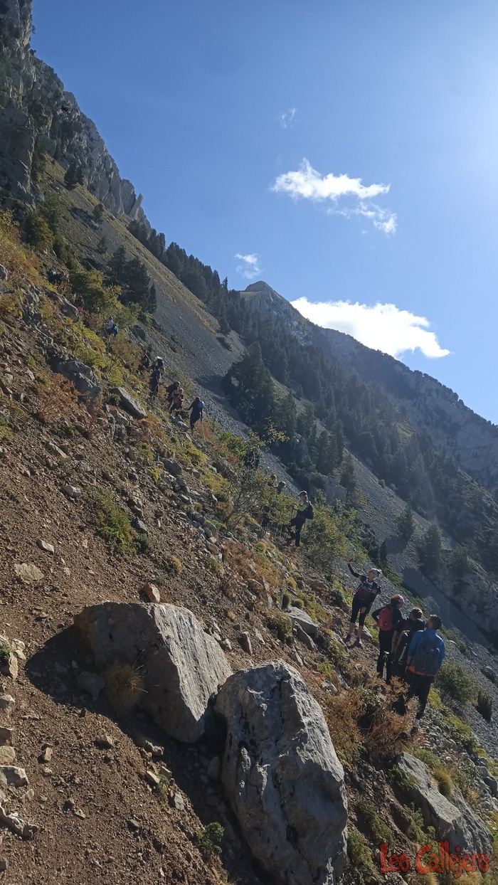 2023-09-23_11-19-54_IMG_20230923_111954_045