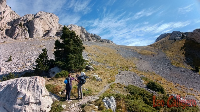 2023-09-23_11-51-25_IMG_20230923_115125_394