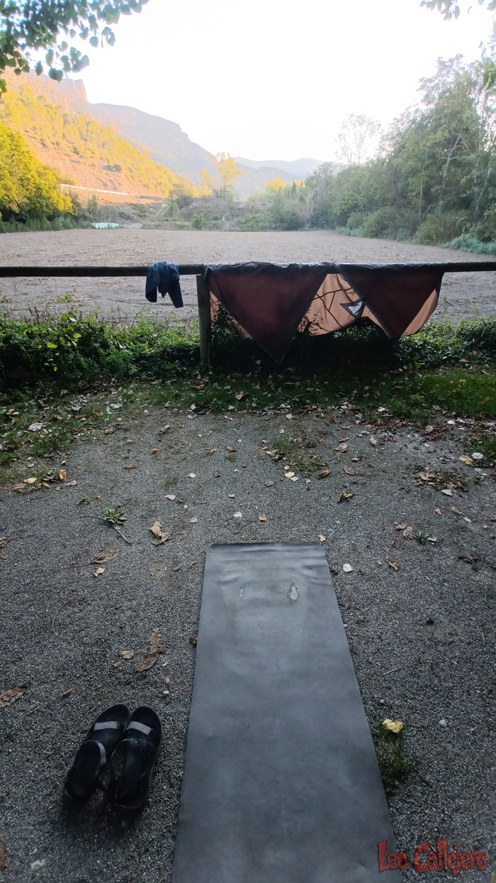 2023-09-25_08-26-16_IMG_20230925_082616_729