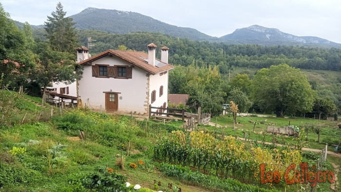 2023-09-27_17-23-40_IMG_20230927_172340_100