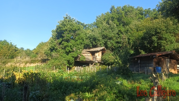 2023-09-28_09-52-50_IMG_20230928_095250_523