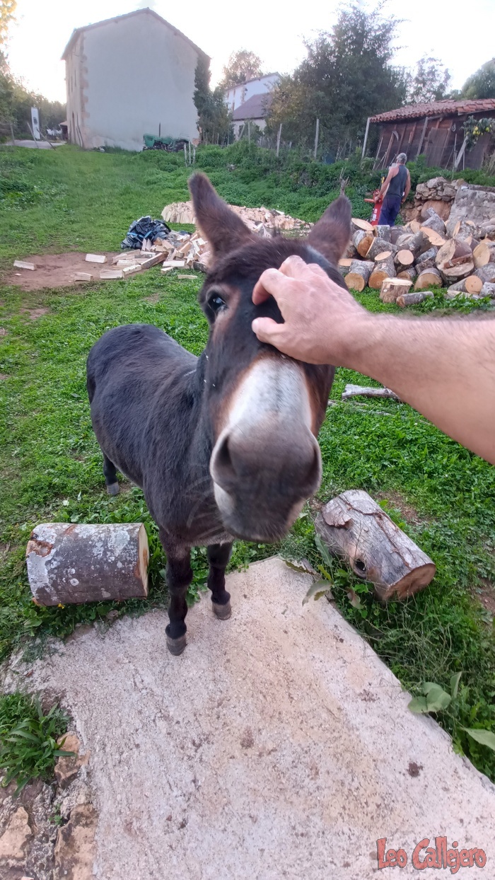 2023-09-28_19-17-13_IMG_20230928_191713_188