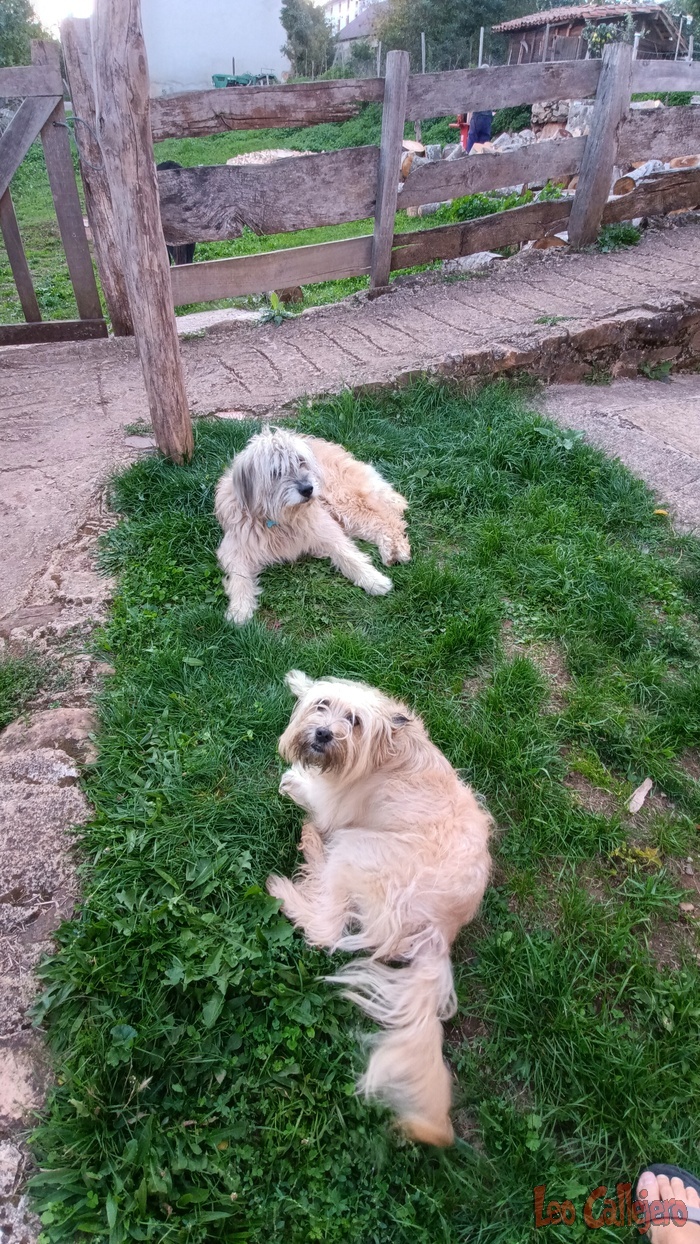 2023-09-28_19-21-49_IMG_20230928_192149_471