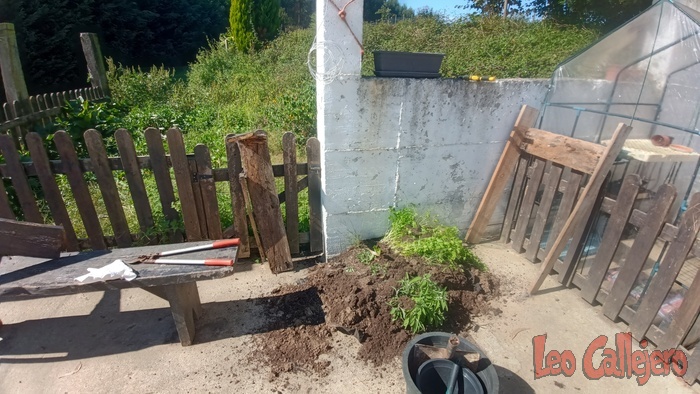 2023-10-02_14-08-57_IMG_20231002_140857_828