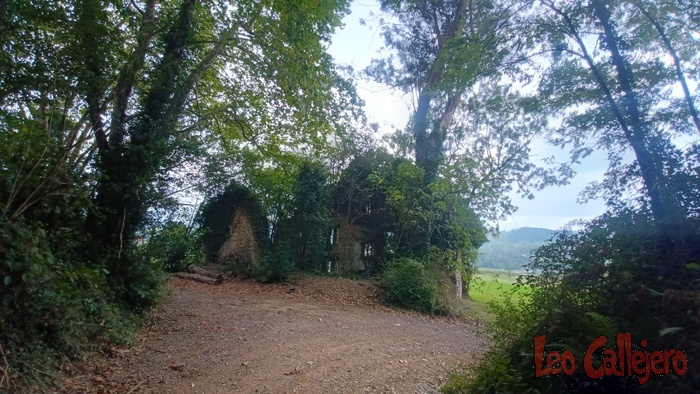 2023-10-02_17-29-00_IMG_20231002_172900_736