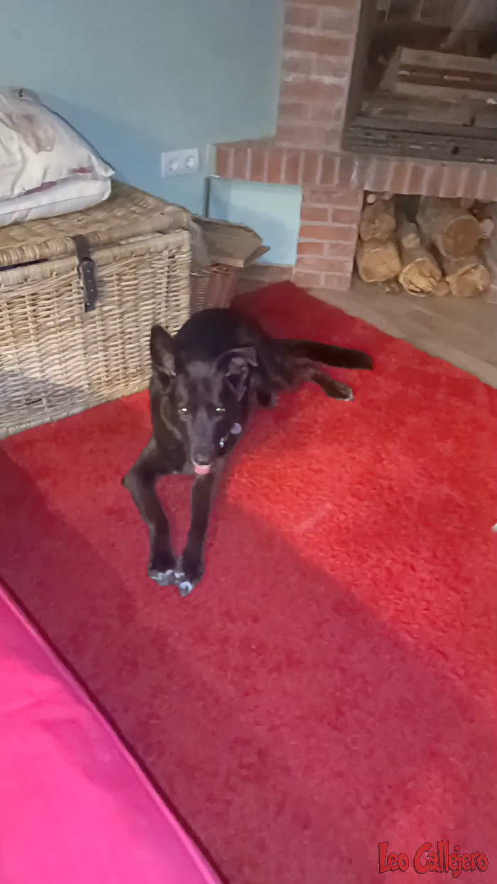 2023-10-02_21-22-03_IMG_20231002_212203