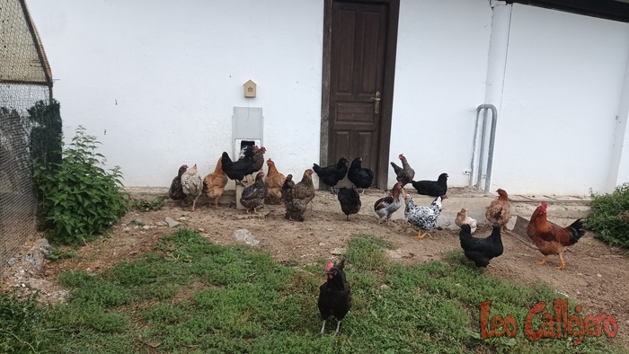 2023-10-03_10-09-43_IMG_20231003_100943_540