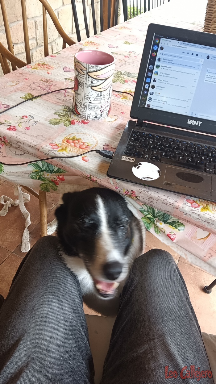 2023-10-03_13-21-34_IMG_20231003_132134_431