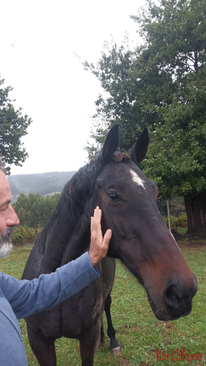 2023-10-03_18-19-04_IMG_20231003_181904_228