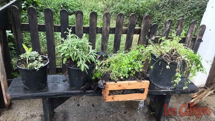 2023-10-03_18-45-30_IMG_20231003_184530_580