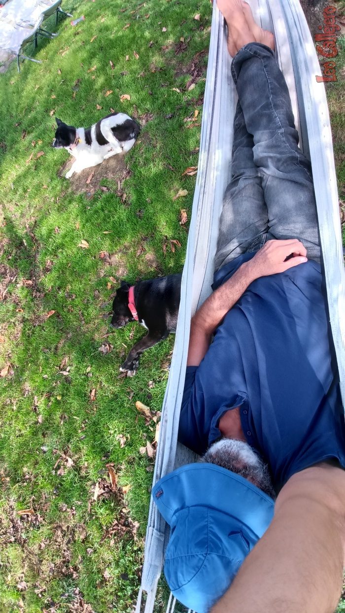 2023-10-04_15-12-11_IMG_20231004_151211_942