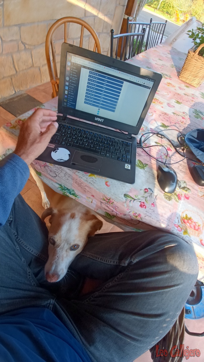 2023-10-04_18-29-14_IMG_20231004_182914_260