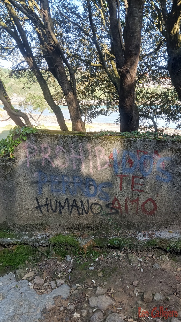 2023-10-05_11-10-00_IMG_20231005_111000_324