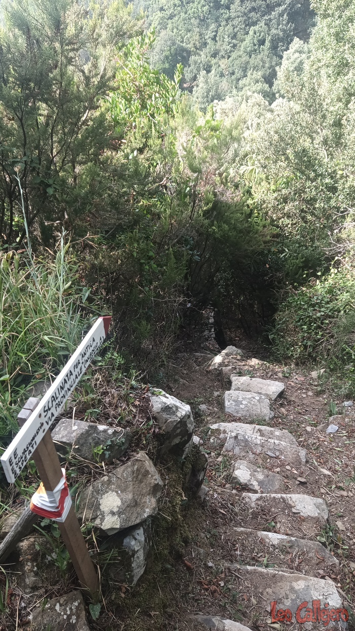 2023-10-08_12-24-10_IMG_20231008_122410_583