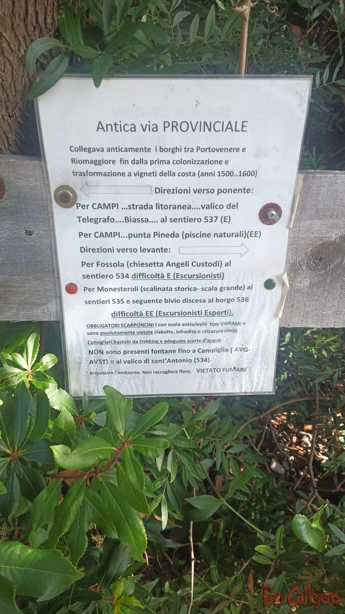 2023-10-08_12-35-18_IMG_20231008_123518_499