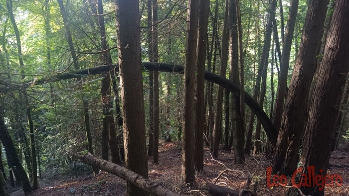 2023-10-15_17-28-40_IMG_20231015_172840_150