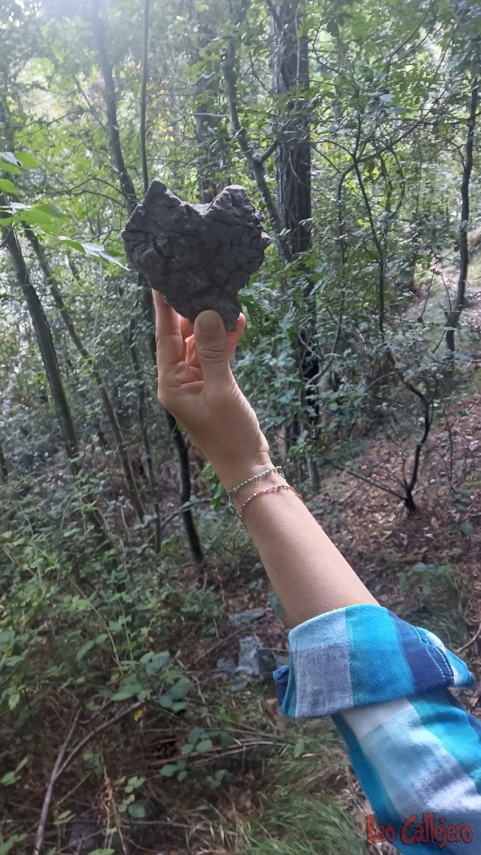 2023-10-15_17-56-29_IMG_20231015_175629_989