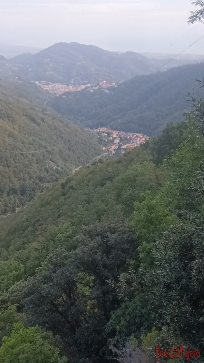 2023-10-15_18-16-07_IMG_20231015_181607_320