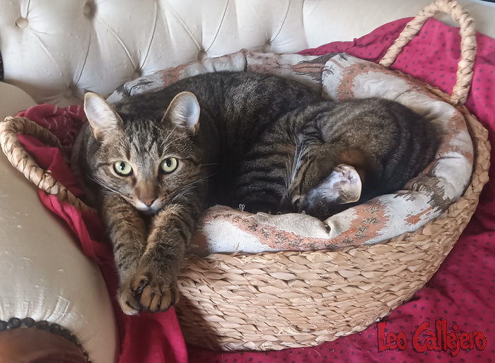 2023-10-16_09-29-32_IMG_20231016_092932_535