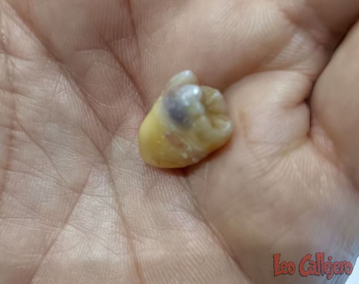 2023-10-19_13-23-07_IMG_20231019_132307_681