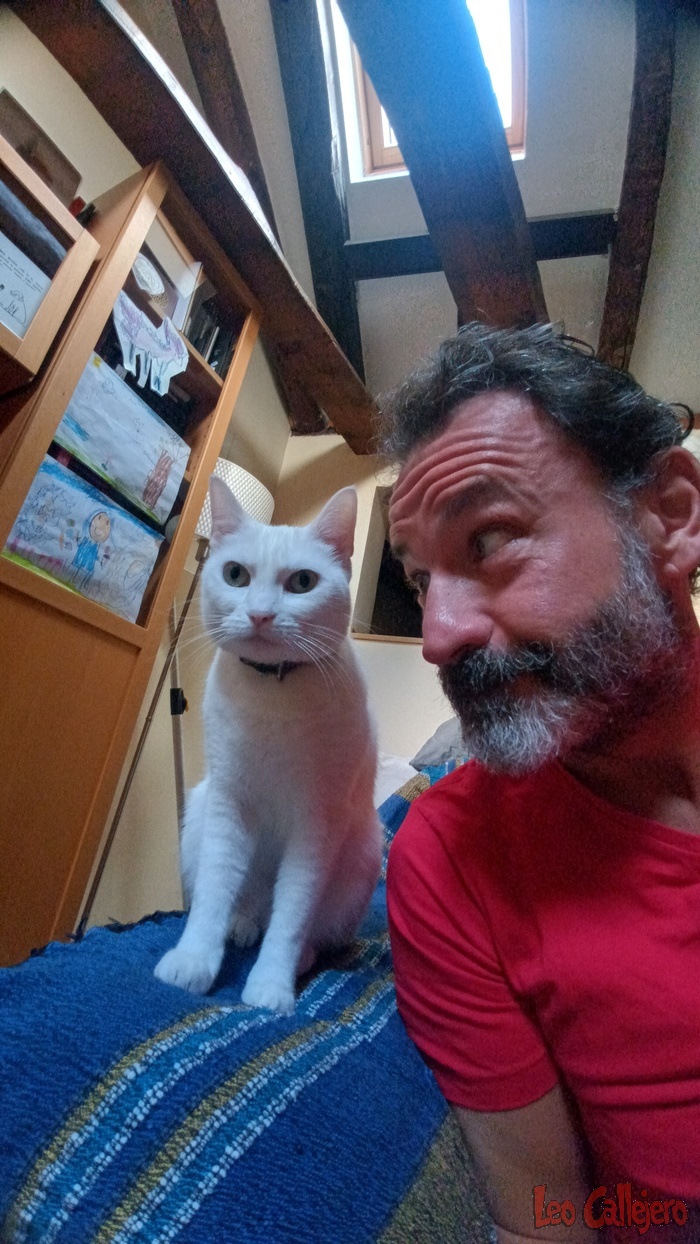 2023-10-23_09-43-23_IMG_20231023_094323_836