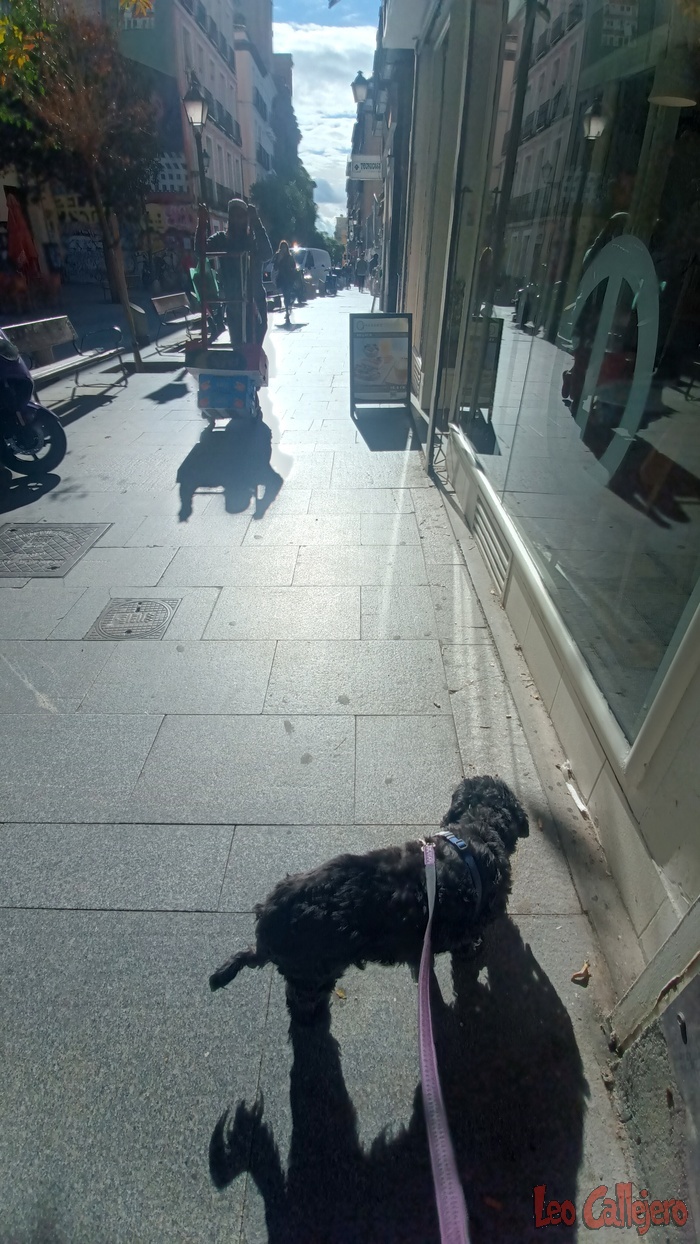 2023-10-23_11-30-50_IMG_20231023_113050_442