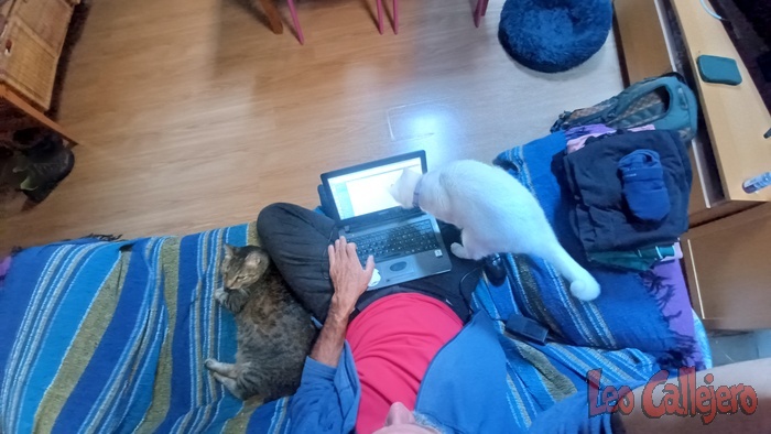 2023-10-23_12-00-47_IMG_20231023_120047_838