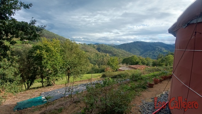 2023-10-25_16-49-58_IMG_20231025_164958_502