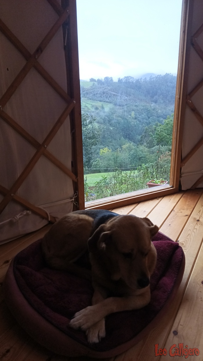 2023-10-26_10-20-54_IMG_20231026_102054_033