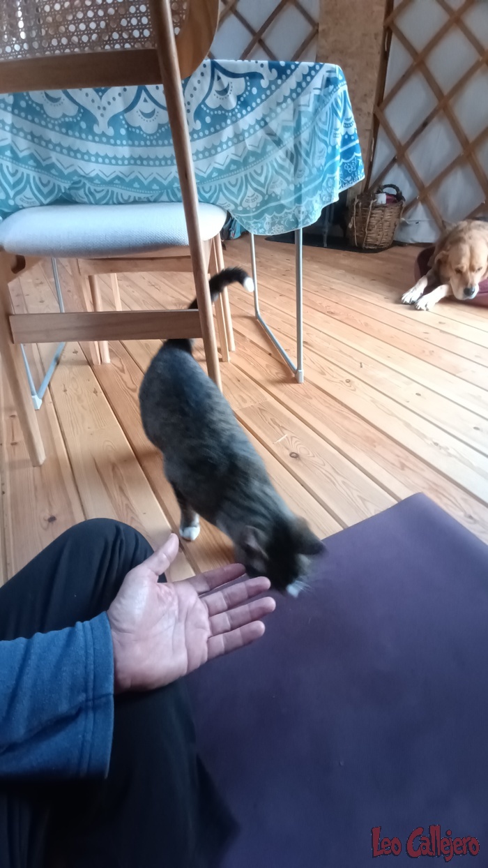 2023-10-27_09-28-57_IMG_20231027_092857_401