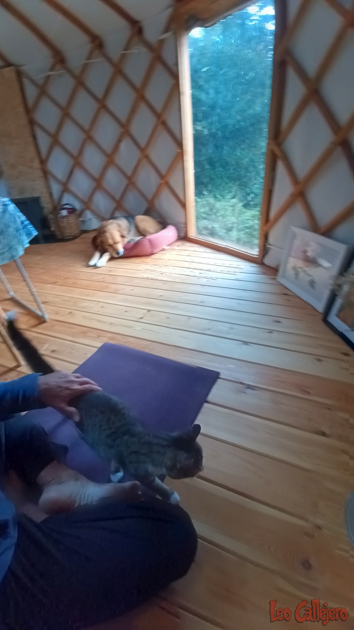 2023-10-27_09-29-03_IMG_20231027_092903_452