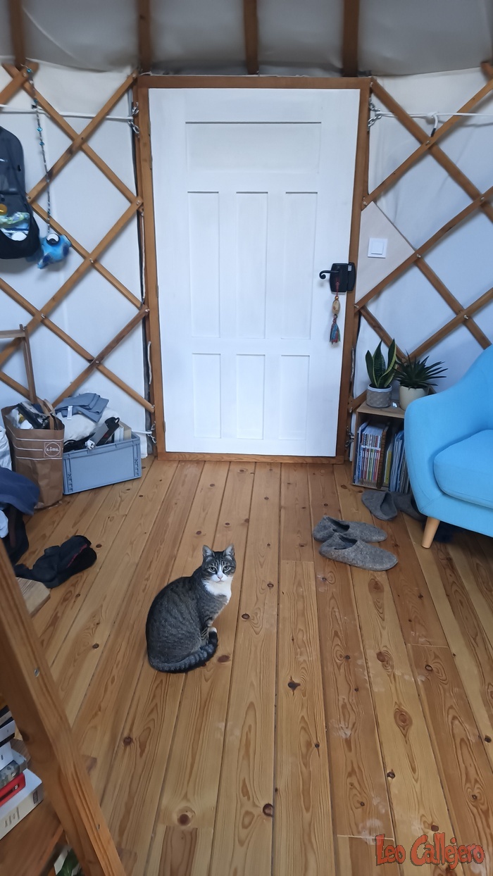 2023-10-27_09-29-56_IMG_20231027_092956_243