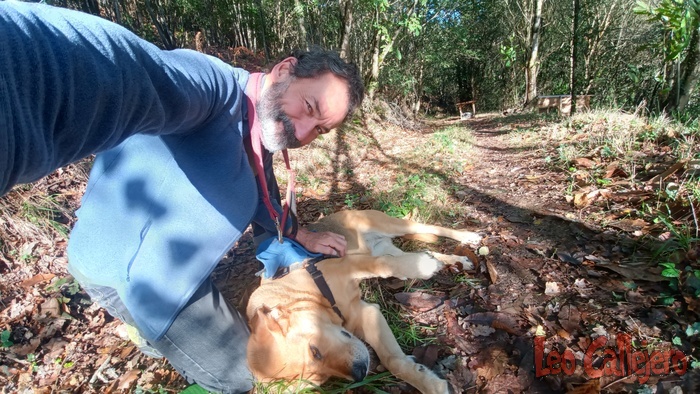 2023-10-27_11-35-26_IMG_20231027_113526_960