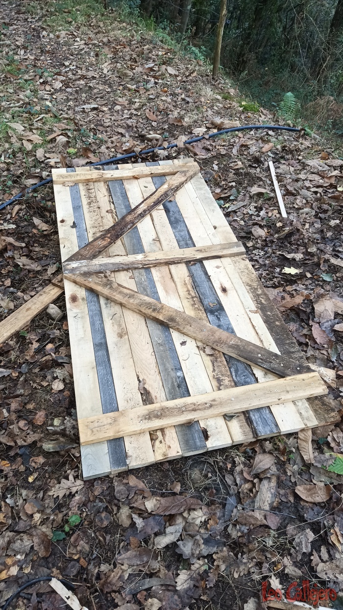 2023-10-27_15-35-45_IMG_20231027_153545_572