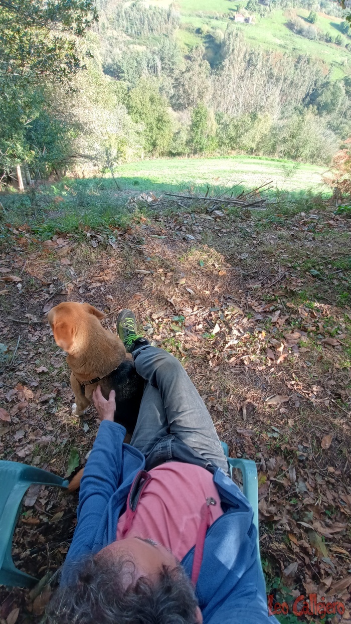 2023-10-27_17-01-47_IMG_20231027_170147_419